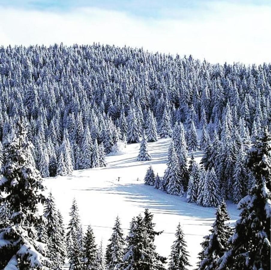 شقة Zlatibor Hills Royal المظهر الخارجي الصورة