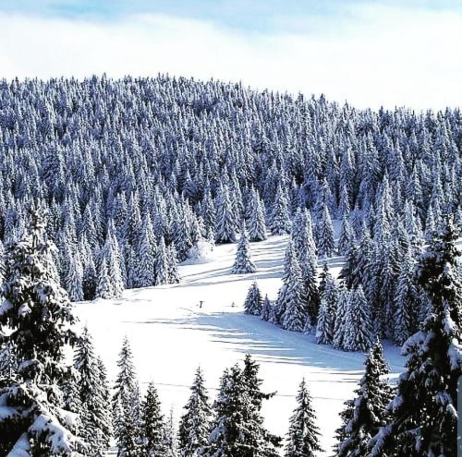 شقة Zlatibor Hills Royal المظهر الخارجي الصورة